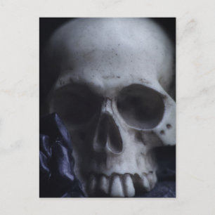 Spooky Human Skull Grim Black White Photography Postcard