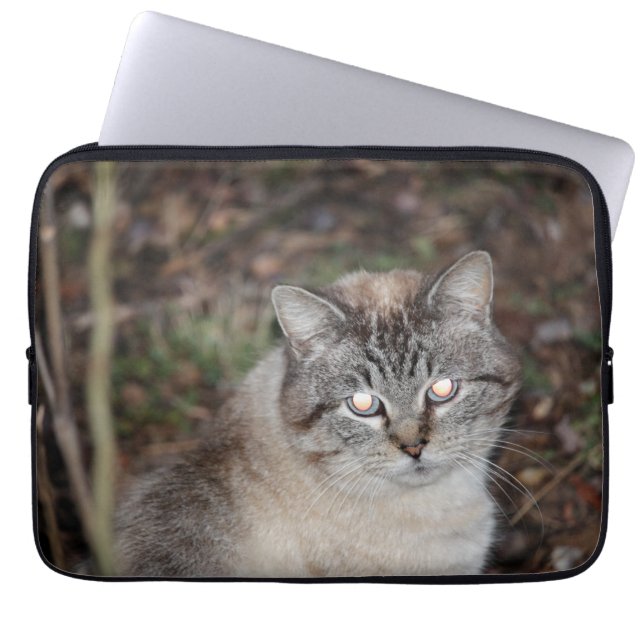 Spooky Laptop Sleeve (Front)