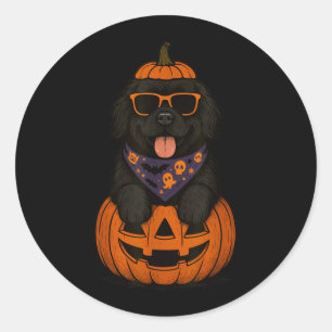 Spooky Newfoundland Dog Pumpkin Halloween Newfie Classic Round Sticker
