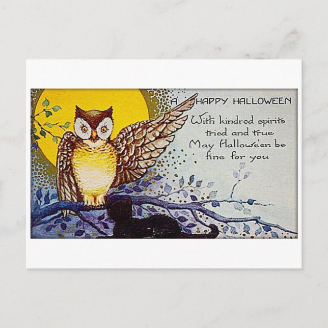 Spooky Owl Vintage Halloween Postcard (Front)