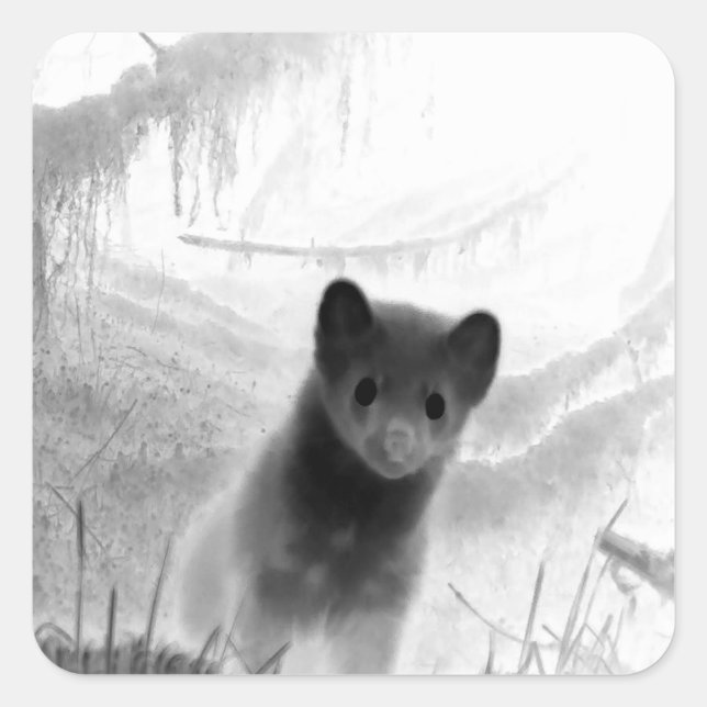 Spooky Pine Marten Wildlife Art  Square Sticker (Front)