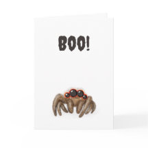 Spooky spider 'Boo!' Halloween card
