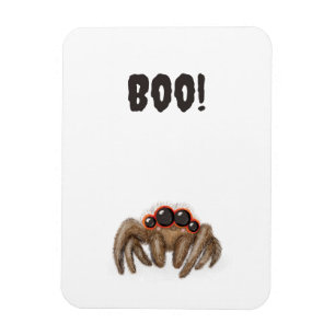 Spooky spider 'Boo!' Halloween magnet