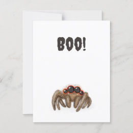 Spooky spider 'Boo!' Halloween postcard