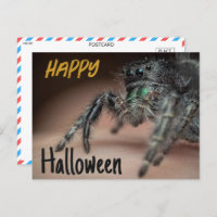 Spooky Spider Halloween Greeting
