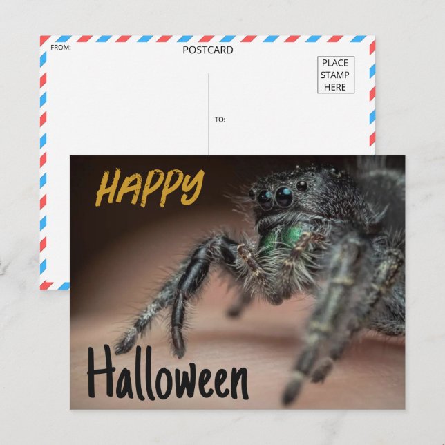 Spooky Spider Halloween Greeting Postcard (Front/Back)