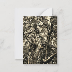 Spooky Tree Branches Nature Photography Card