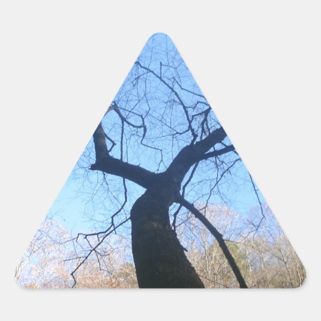 Spooky Tree Triangle Sticker (Front)