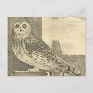 Spooky Vintage Halloween Owl Postcard