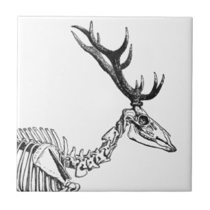 Spooky vintage skeleton reindeer drawing tile