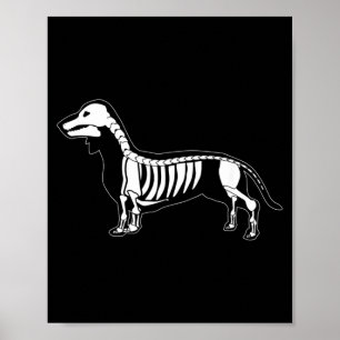 Spooky Y Dachshund Weiner Dog Halloween Skeleton Poster