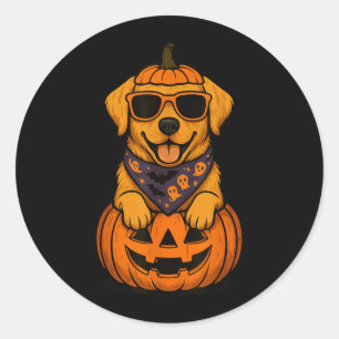 Spooky Yellow Labrador Retriever Pumpkin Halloween Classic Round Sticker