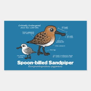 Spoon-billed Sandpiper Statistics Rectangular Sticker