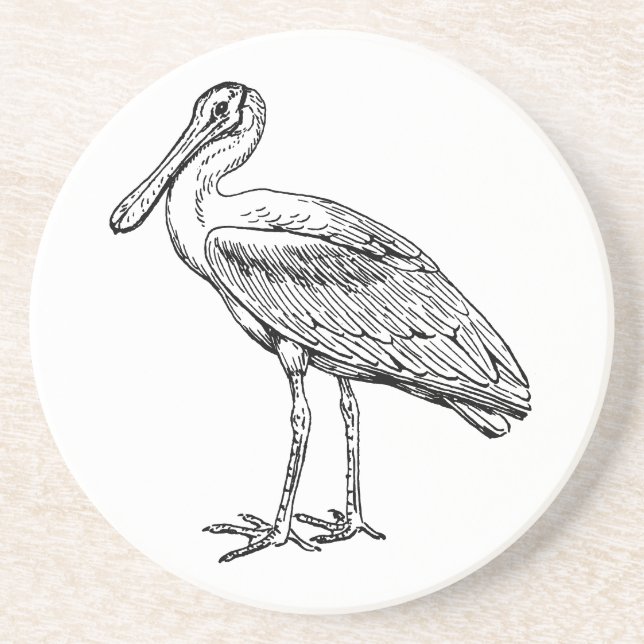 Spoonbill Coaster (Front)