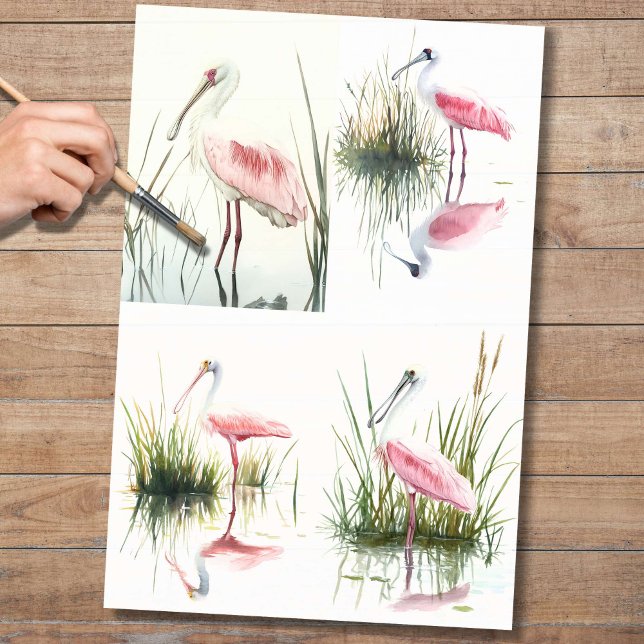 Spoonbill Collage 2 Decoupage Paper (Creator Uploaded)