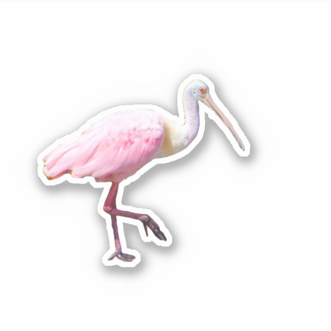 Spoonbill Vinyl Sticker (Front)