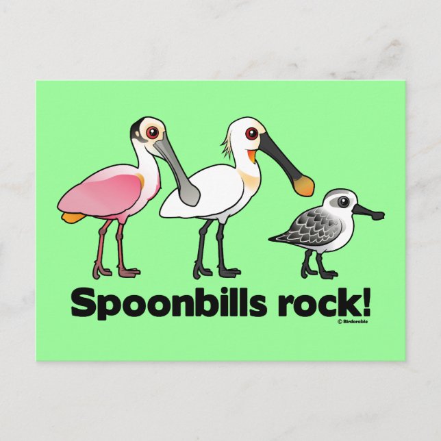Spoonbills Rock! Postcard (Front)