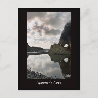 Spooner's Cove California Postcard