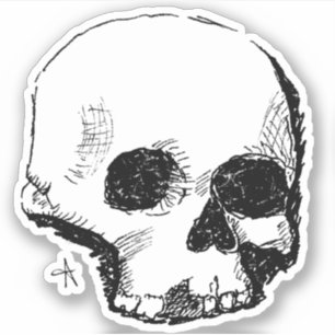 spoopy skull