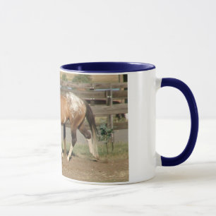 sportaloosa stallion bradford mug