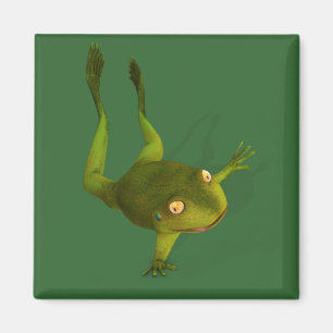 Sportive Frog Magnet