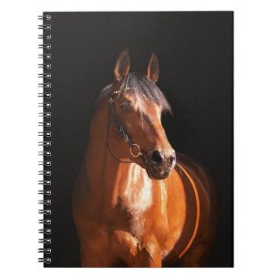 sportive horse at black spiral notebook