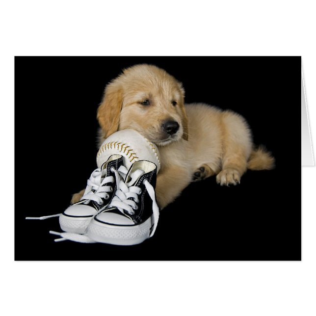 Sport's Fan (Front Horizontal)