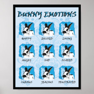 SPOT EXPRESSIONS POSTER