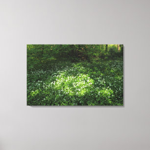 Spot of Garlic Canvas Print