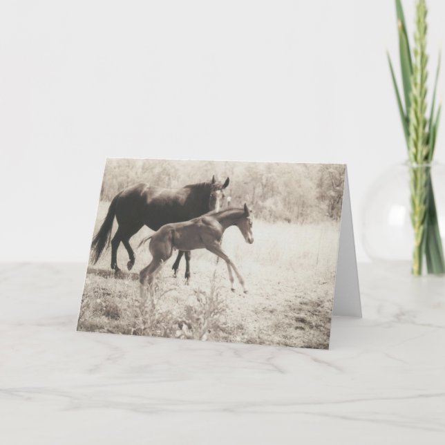 Spot Plays Card (Front)