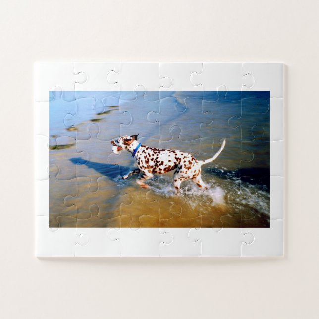 Spot the dalmatian dog jigsaw puzzle (Horizontal)