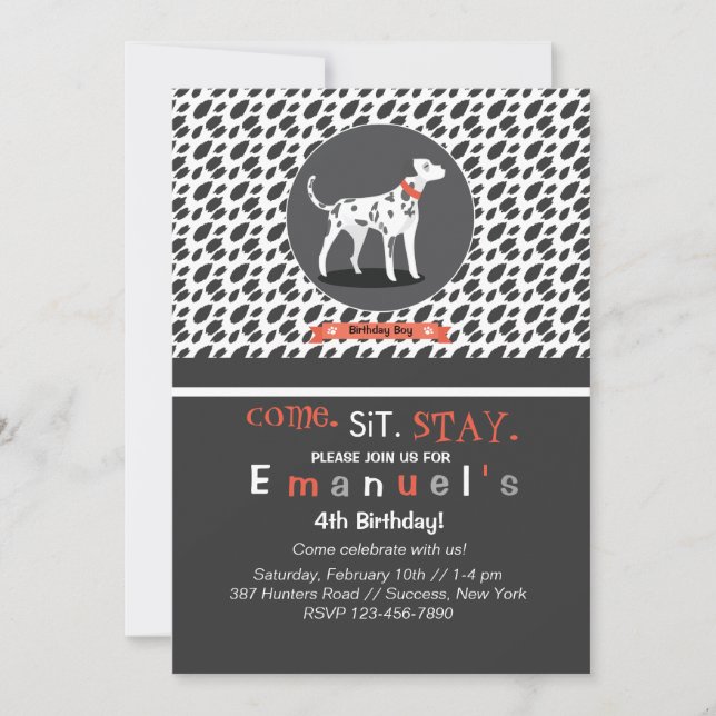 Spotlight on Dalmatian Invitation (Front)