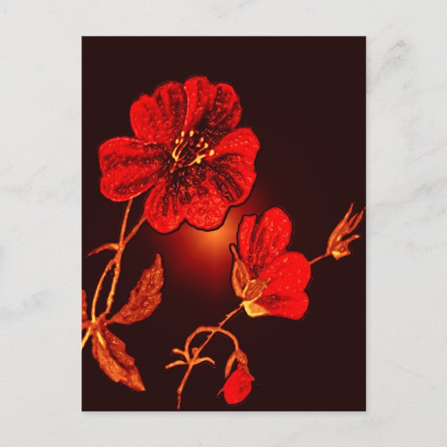 Spotlight on Red Flower,Brown & Black Back Postcard (Front)