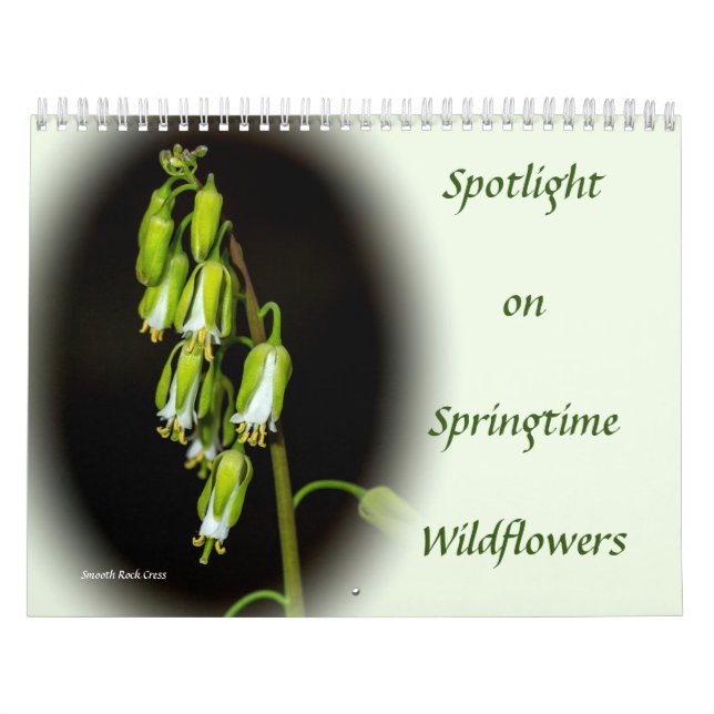 Spotlight on Springtime Wildflowers Calendar (Cover)