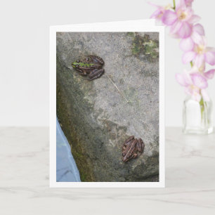 Spotted and Striped Frogs Card