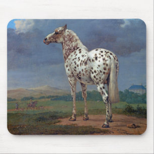 Spotted Appaloosa Horse Mouse Pad