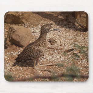 Spotted Bush Thick-Knee Mousepad