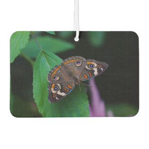 Spotted Butterfly Car Air Freshener