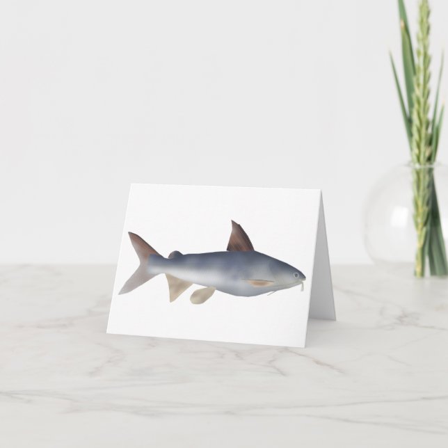 Spotted Catfish Note Card (Front)
