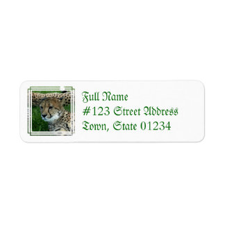 Spotted Cheetah Mailing Label