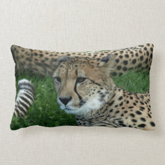 Spotted Cheetah Pillow