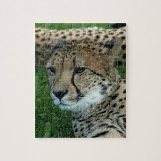 Spotted Cheetah Puzzle