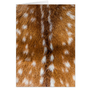 Spotted deer fur texture