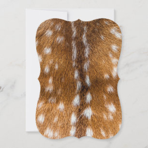 Spotted deer fur texture