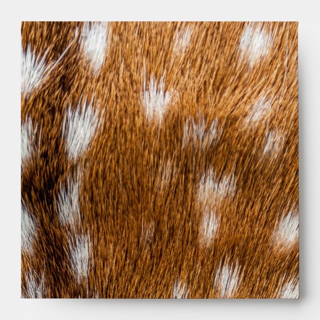 Spotted deer fur texture envelope (Front)