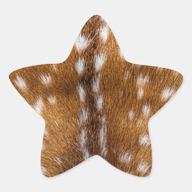 Spotted deer fur texture star sticker (Front)
