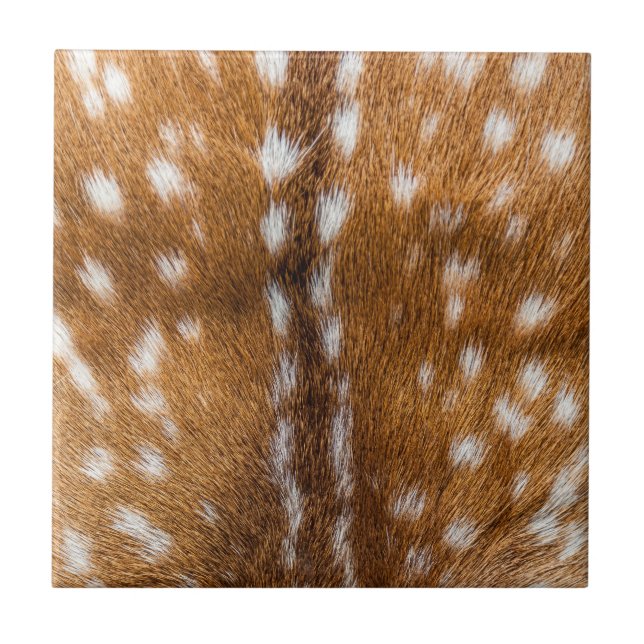 Spotted deer fur texture tile (Front)
