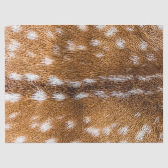 Spotted deer fur texture tissue paper (Front)