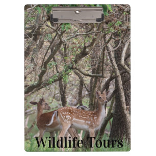 Spotted Deer Wildlife Clipboard Premium Photo