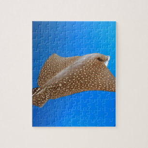 Spotted eagle ray underwater Galapagos paradise Jigsaw Puzzle